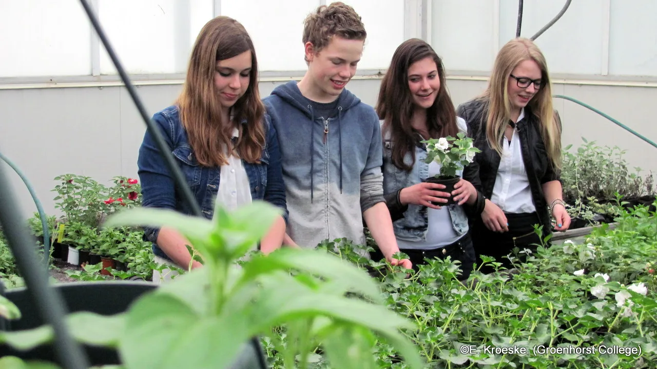 lz9kbhohbkx5gyjphpx36afc0 2014 04 24 groenhorst plantjesmarkt