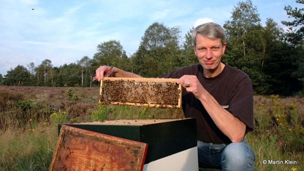 m26dqigdtlrrvbst0ms5ptlnr 2014 04 02 bijen 1