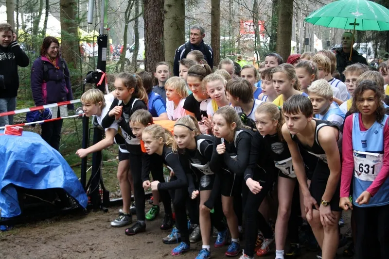 m9lrb5ir7nexcqry1gmqz3ltq 195708