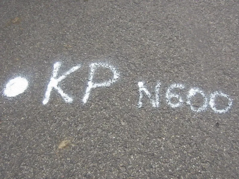 me19d4buiqno8e1uayoh4vksc 227970