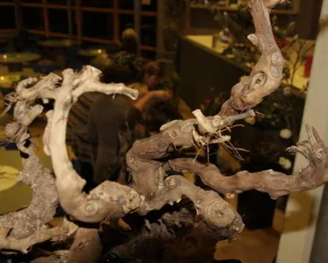 my28asqp8k09gts5rej59yiu3 51343