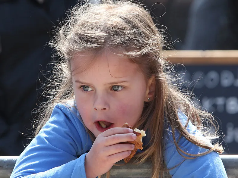 n185u3ls31054akx1vhdp3r6p 227330