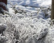 na2wvcqblytelyu6pkc3m0g5a 195458