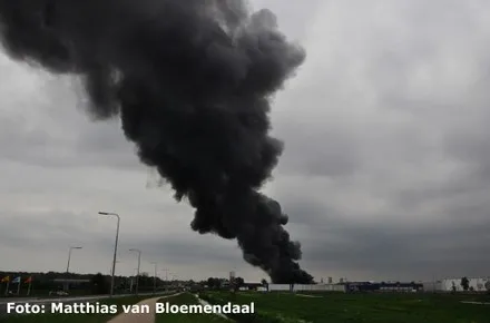 ne77r3e20wd84ml8wzlktrf8v 139590