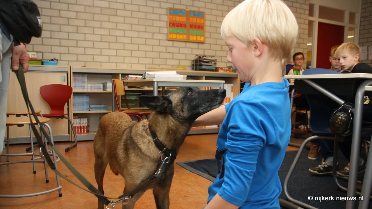 nhhyvh71f18qezusfeoch6jhb 2013 11 08 hondentaal 4