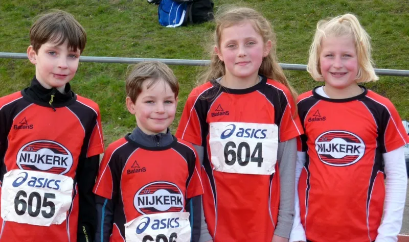 nxpsi33yzvyg641r0z3xf8kjg 225419