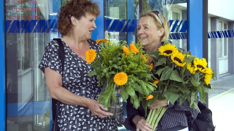 o2szmtgifrw8hkv050tbocyz1 228121