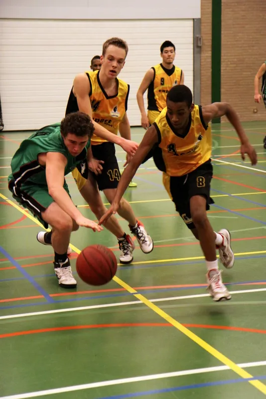 o74ovxpg3a1bruzbz4shdo1s7 207849