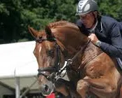 ojesl22c7ialfh76pea1pebr1 178360