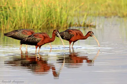 onayw2w1i84pzo2f5sq9bbi61 51592