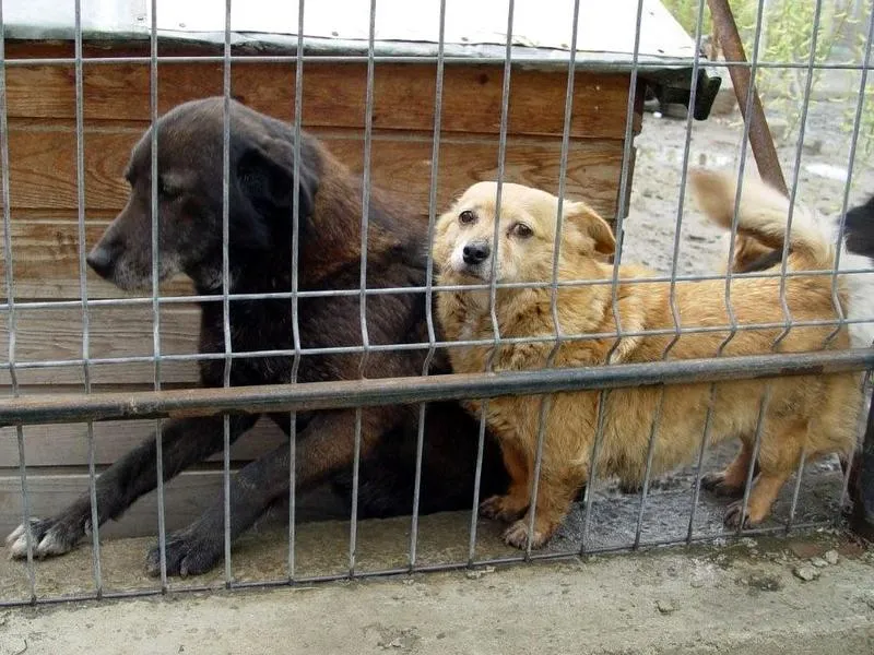 oob9mok9ccdrfvi0om46z6lsj 231655