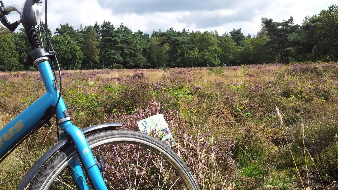 orl4s3c5tiua3ztfe5kqqqzhh 2014 08 09 fietsheidevv