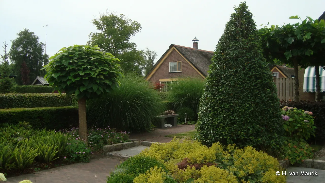 ouahbzyty4ybc0ogn9hixzwyl 2013 11 03 nieuwe kerkstraat nveen 053