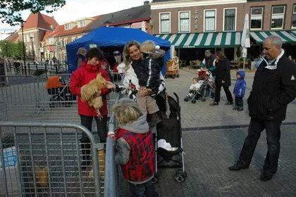 p0p9dwb6gqmjir8013edd2pej 30242