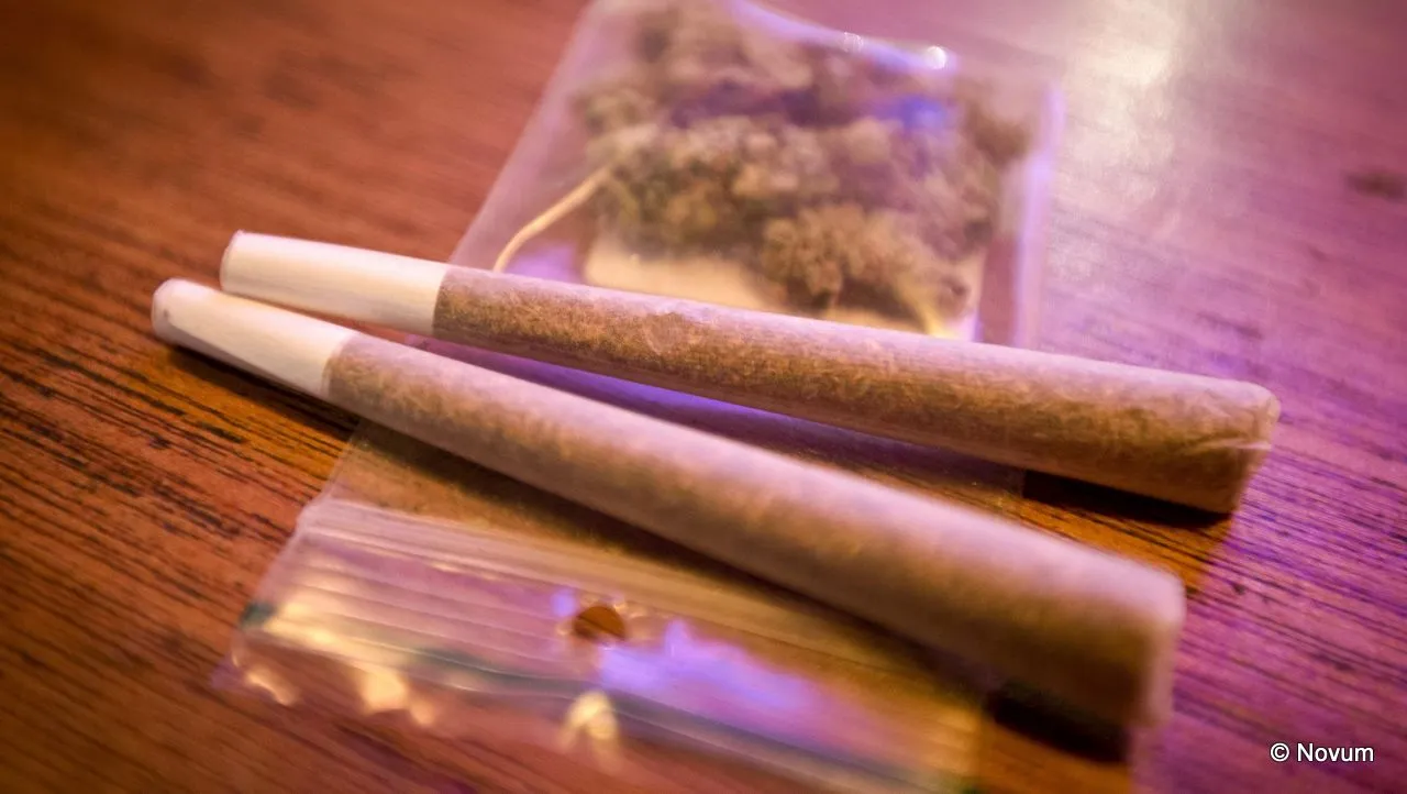 p1t366xmt2y5j75rfcz2v7gv5 joint