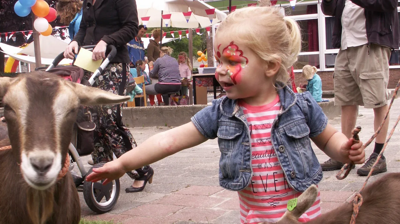 p7hjj5gpfo377y00c7gpx8g78 2014 06 16 prokino 4