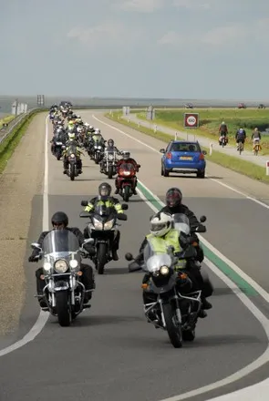 pt9fpho40b7u0u2rjrpnfs1ml 158839