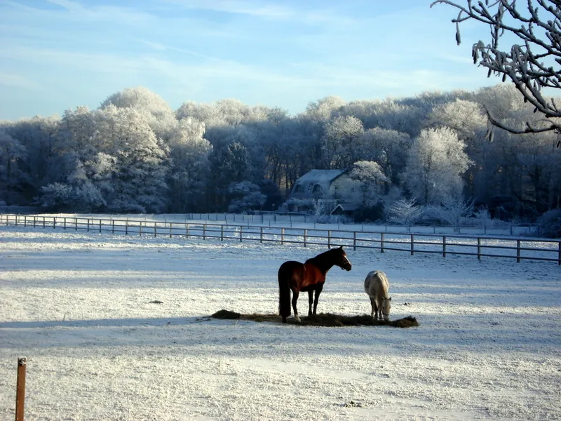 pufrme0fr79y7iyiui2k3uz3a 196647