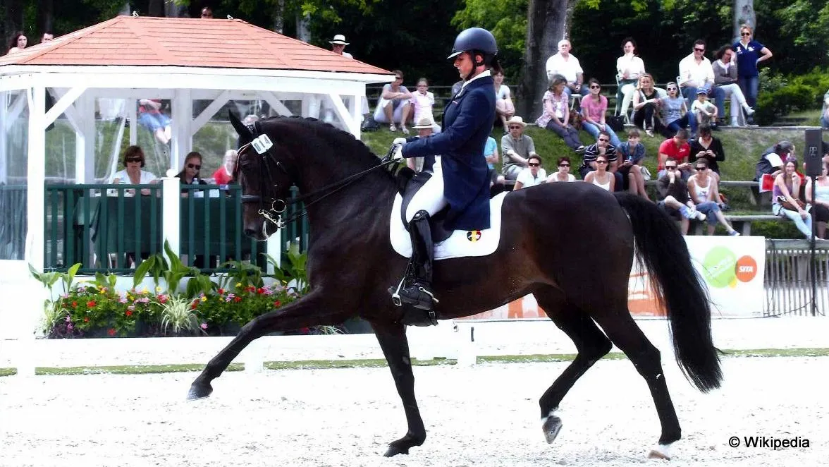 q4q200zjl2bvv7jcdc6aug0oh dressuurclaudia fassaert met donnerfee 1342115804