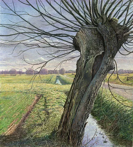 q6vsiutwwelpjn86je6w32lcc 174519