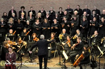 qcx0mimp9gl276r82er7yr4ar 134164