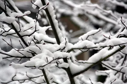 qhyvv90nd2hit4thzqq4mt0u8 39255