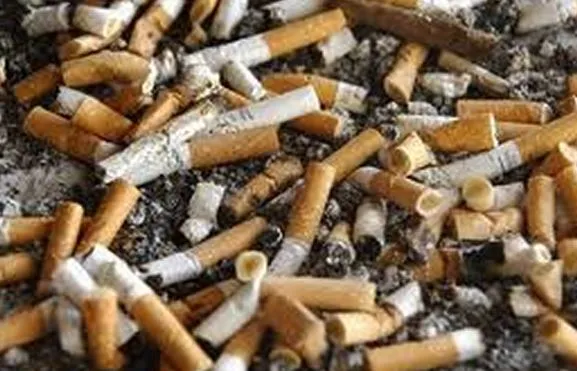 qjr0nhw4rcd92yu5nolhw8gd3 221551