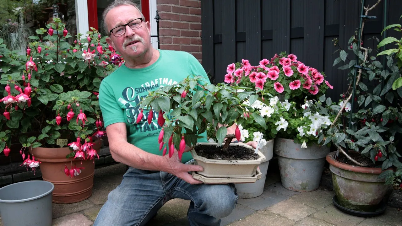 qqcinph08q24mkavyk676qwd7 2013 07 17 fuchsia 1