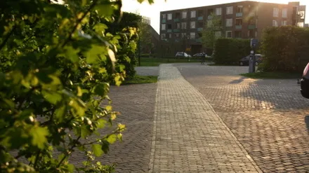 qs1ldehewsrnxaor57iay4dha 56992