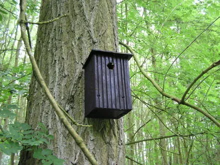 rfx4j7swl7sicp61q3bfbyhgu 69999