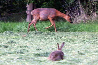 rkt8m7np4nvgz0j8mnvwdch7i 60162