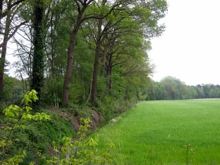 rwgq4aqmg9n92hb2vnszk15xt 177483