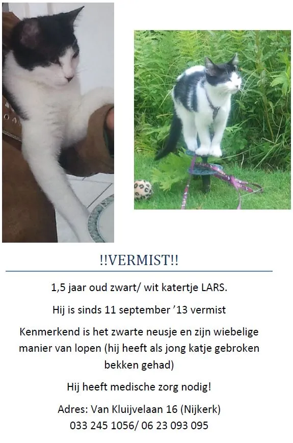 rz7obwvc7ah0c1as1gce1swtj 2013 09 16 kat vermist