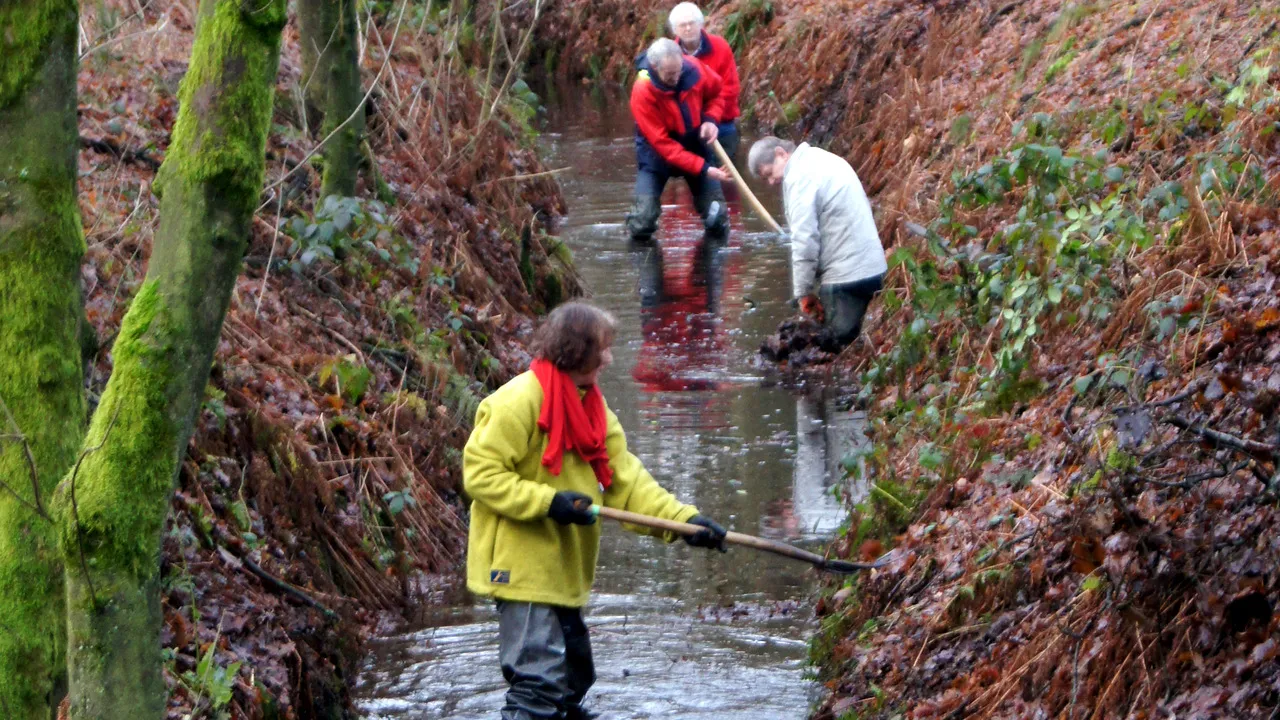 s03gb3muyi1c8oyy5x7lqj73e 2014 10 02 vrijwilligers helpen bij het schoonhouden van de beek