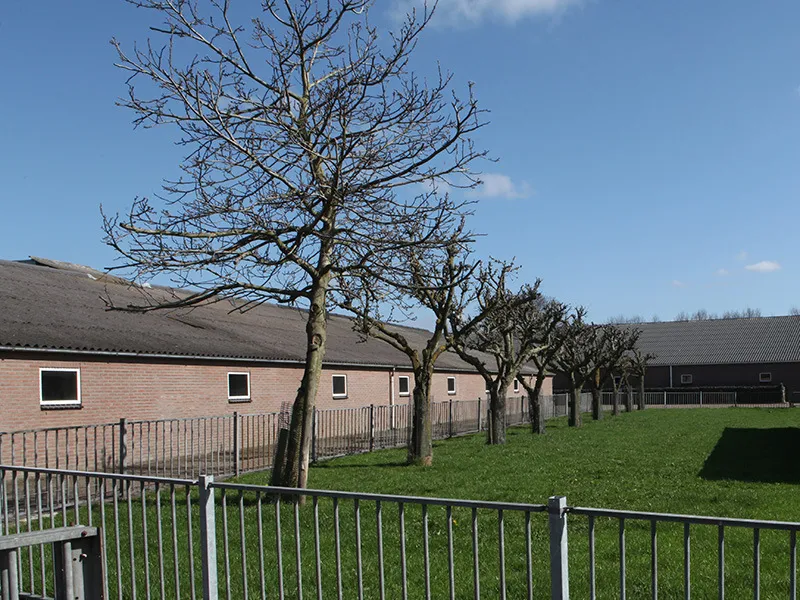 s1habssgsiywuysm7ty5w6fcq 226727