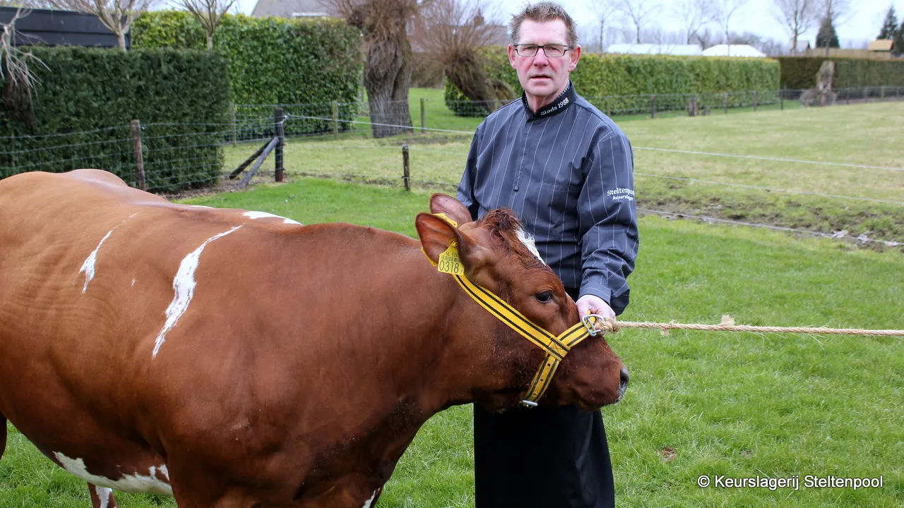 s46fuhq6v85vvuitwxo7g26o5 img8410