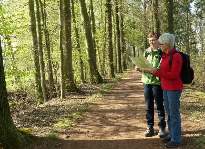 s9t1p2919gvpkloeqk79f1nf0 230863