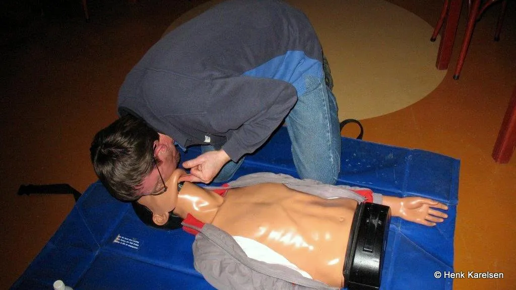 shfbs6h3gwzf5kyavce5kqb0y 2014 01 30 reanimatie 004