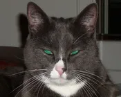 sqiu74kejhfv31c2803vrml15 146939