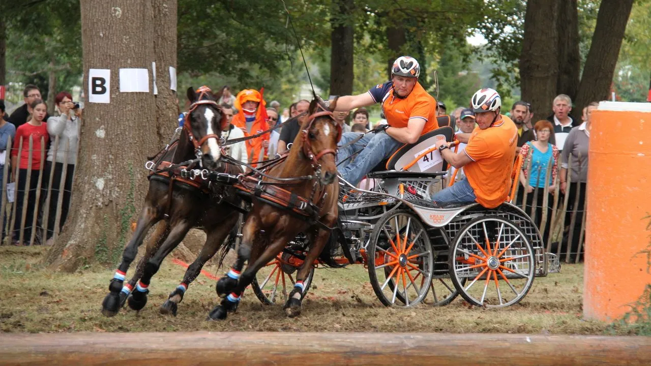 standaard nijkerk sport ewoud boom