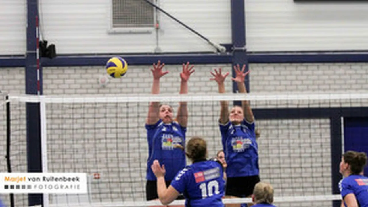 standaard nijkerk sport nvc d1 6