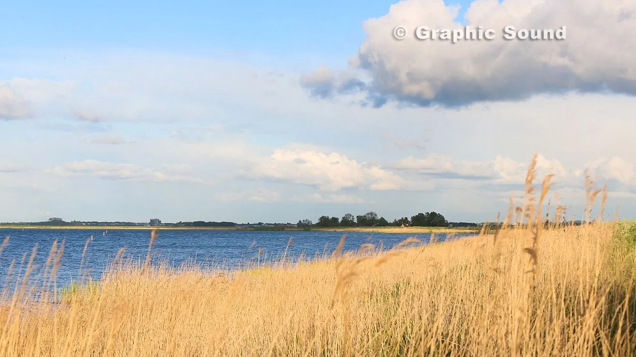 standaard nijkerk van alles polder arkemheen zeedijk 2