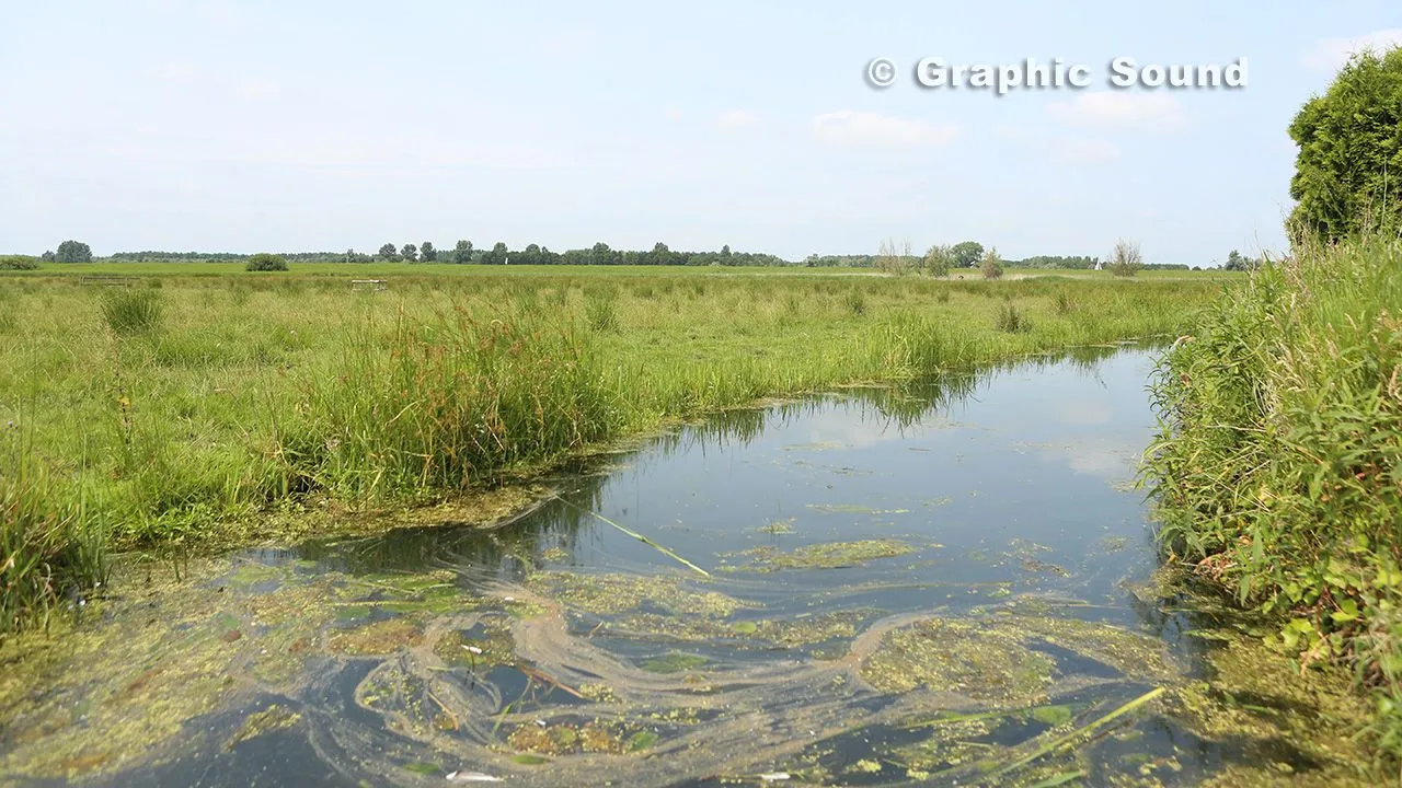 standaard nijkerk van alles polder arkemheen
