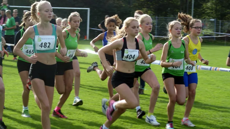 sy6yz5czq8l4e9aujx5erhjn6 2014 10 19 wagenveld 1