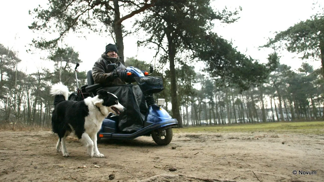 t1se4d2qzztmdehonizh1wiuw chronisch ziek 2