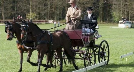 t6cb1nh5hyh702g59yh5rzb3g 179861