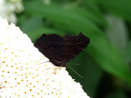 tbrk9il63l91fc51ki6dkqafz 76716