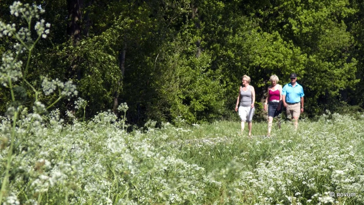 tde8y3r0l1sbht7mufkkpjjz7 wandelen