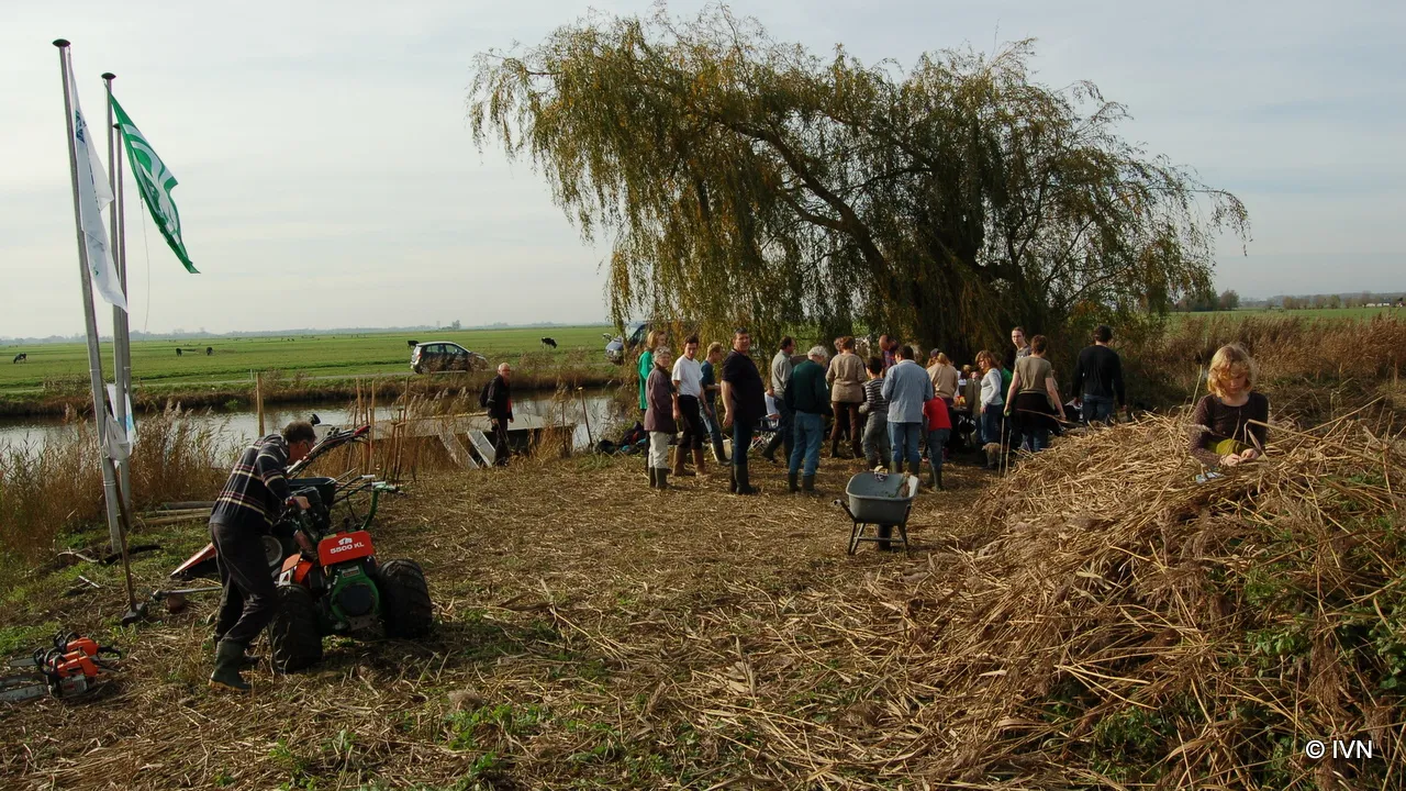 th39b6yry2gqhtu9i5zmq4gf1 2013 12 04 ivn 2