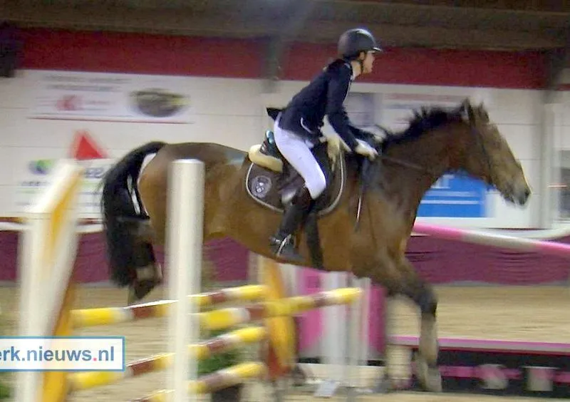 tizzm47ogeywwcjrgbmhkqsey 215576